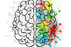 un cerveau partie gauche mode de pensées automatique partie droite mode pensées adaptatif : intelligence adaptative