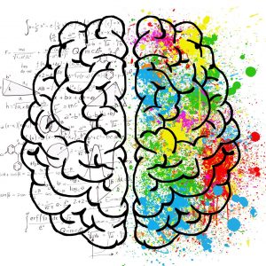 un cerveau partie gauche mode de pensées automatique partie droite mode pensées adaptatif : intelligence adaptative